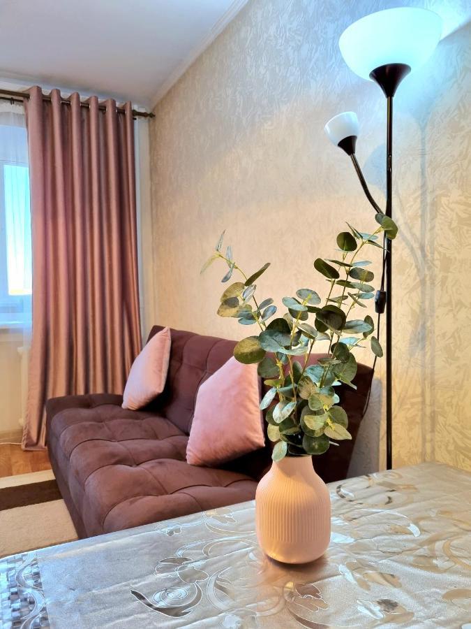 Apartment на Стрелке с красивым видом на Иртыш Усть-Каменогорск Экстерьер фото